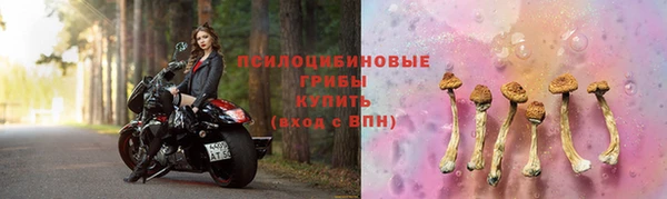 гидра Абдулино