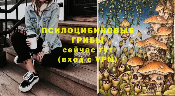 скорость Абаза