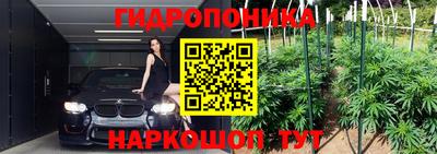молекула духа Новокубанск