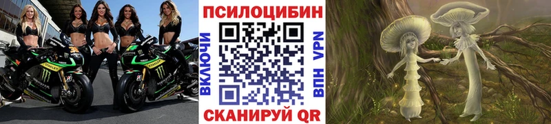 закладка  Чита  Галлюциногенные грибы Psilocybe 