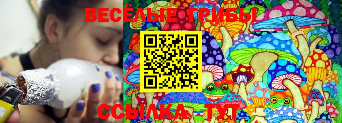 Галлюциногенные грибы мицелий Чита