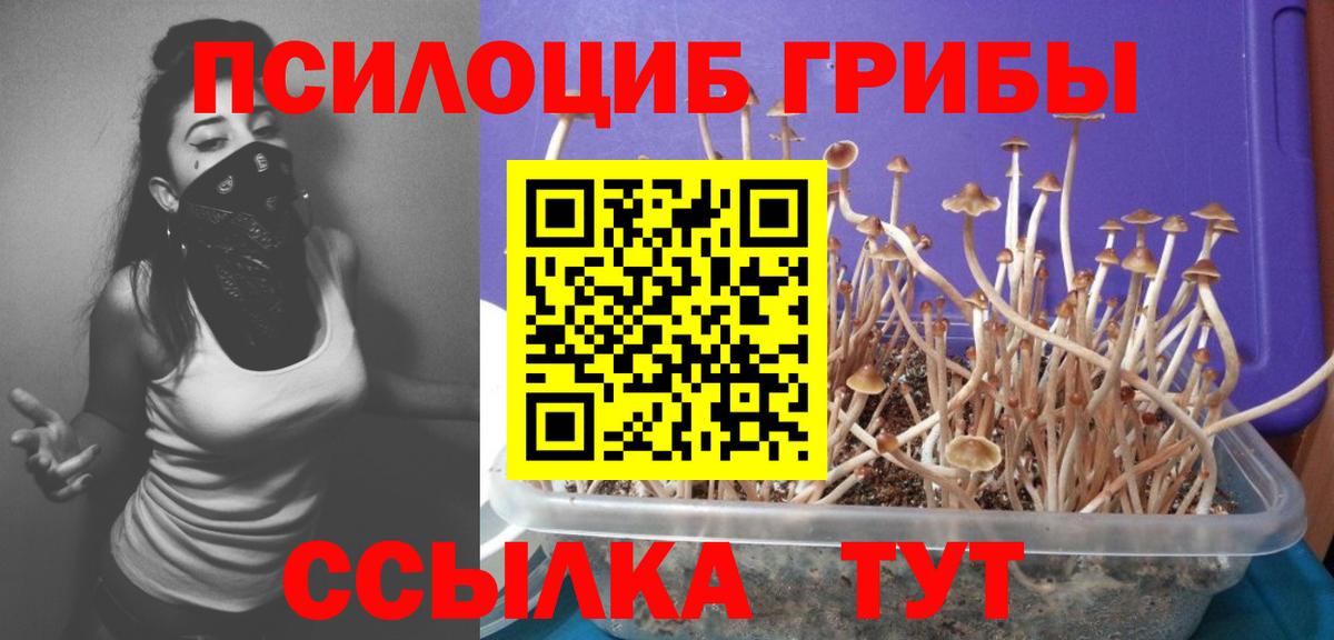 Чита  Гашиш  APVP СК кристаллы  Меф кристаллы  MDMA  Вход с VPN  МАРИХУАНА 