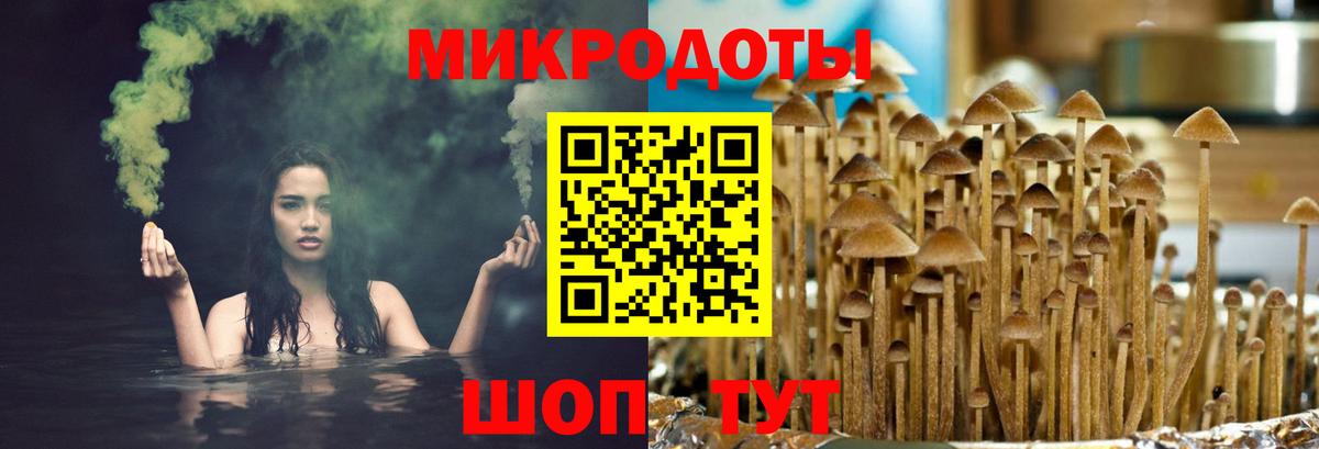 Чита  Псилоцибиновые грибы прущие грибы  Вход с VPN 