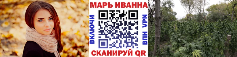 дарнет шоп  Чита  Канабис SATIVA & INDICA 